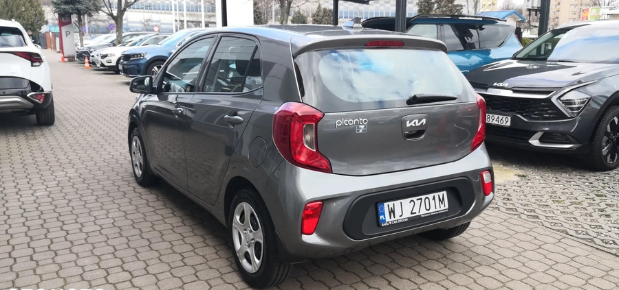 Kia Picanto cena 57900 przebieg: 3400, rok produkcji 2023 z Kalety małe 56